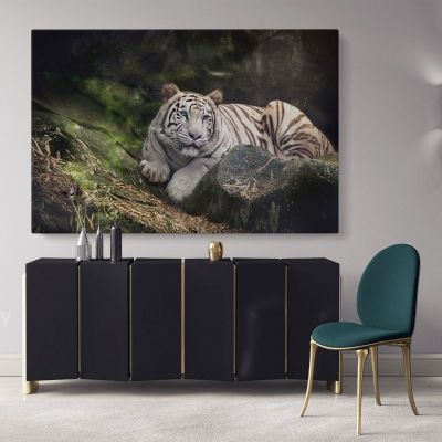 White Tiger Canvas Photography Canvas Photo Print Poster White Tiger Wild Animals Photo Wall Art Mural Hangings Gift Living Room