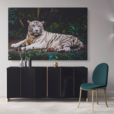 Large White Tiger Canvas Photography Photo Print Poster White Tiger Wild Animals Photo Wall Art Mural Hangings Gift Living Room