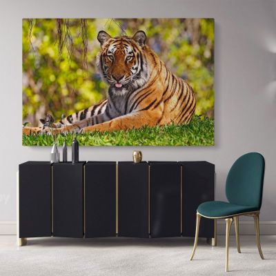 Large Tiger Photo Canvas Wild Animals Photo Print Poster Photography Wall Artwork Gift Wall Mural Hangings Living Room Bedroom