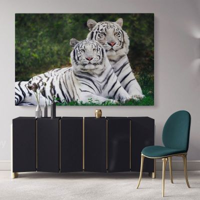 Large White Tiger and Cub Canvas Photography Photo Print Poster White Tiger Wild Animals Wall Art Mural Hangings Gift Living Room