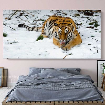 Panoramic Large Tiger Canvas Photography Photo Print Poster Wall Artwork